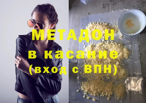 гашик Алексин