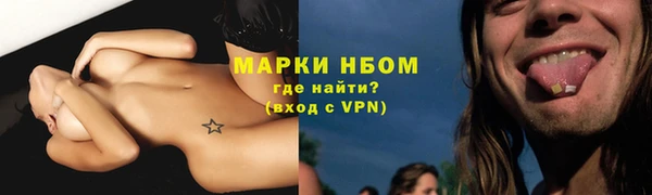 гашик Алексин