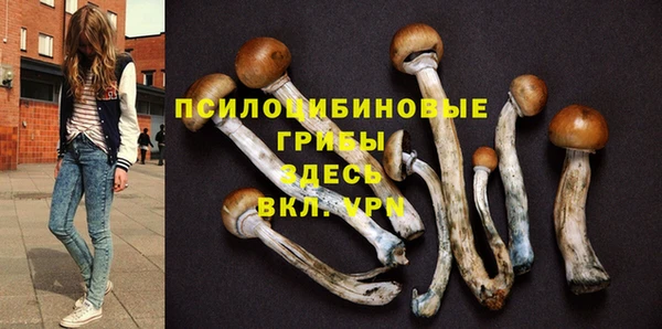 гашик Алексин