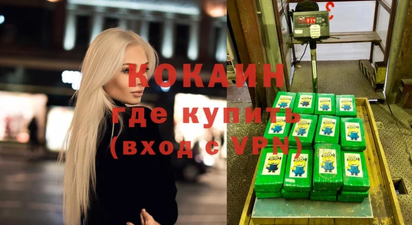гашик Алексин