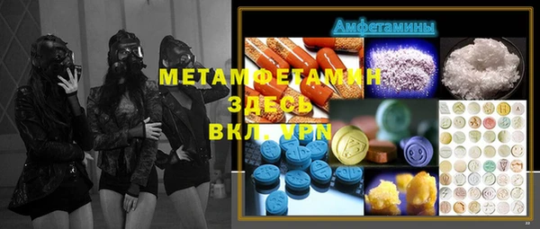 гашик Алексин