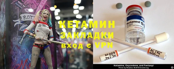 гашик Алексин
