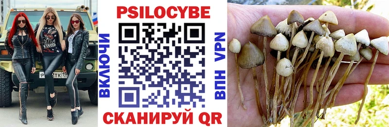 Псилоцибиновые грибы мухоморы Протвино